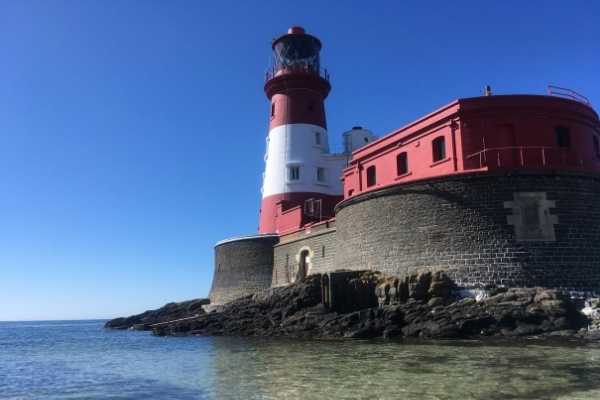 things-to-do-in-northumberland-visit-the-farne-islands