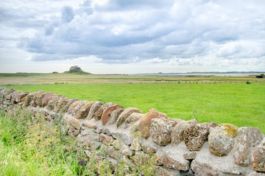 St Coombs Views of Lindisfarne Castle
