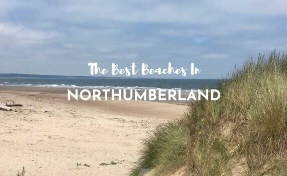 best beaches in northumberland