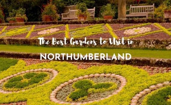 best gardens to visit in Northumberland