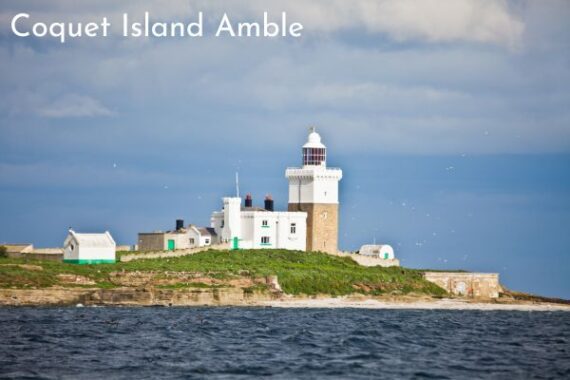 The Best Things to Do in Amble, Northumberland - Northumberlands Best
